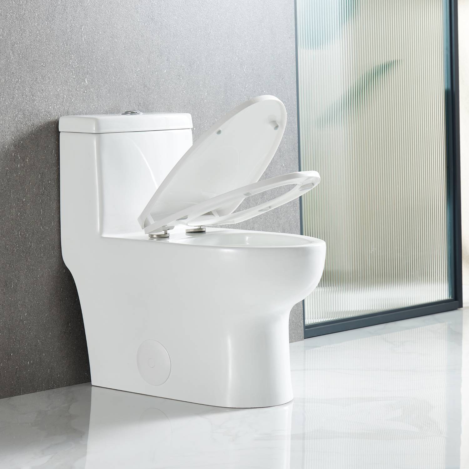 One Piece Toilet - Dual Flush Vanity Plus