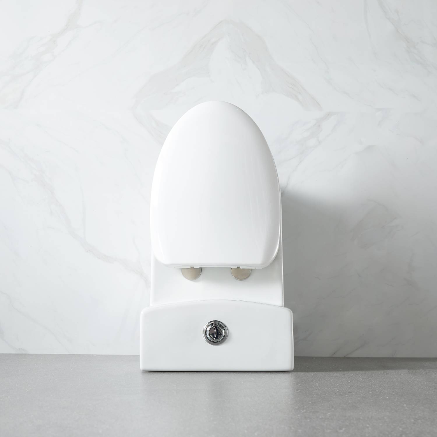 One Piece Toilet - Dual Vanity Plus