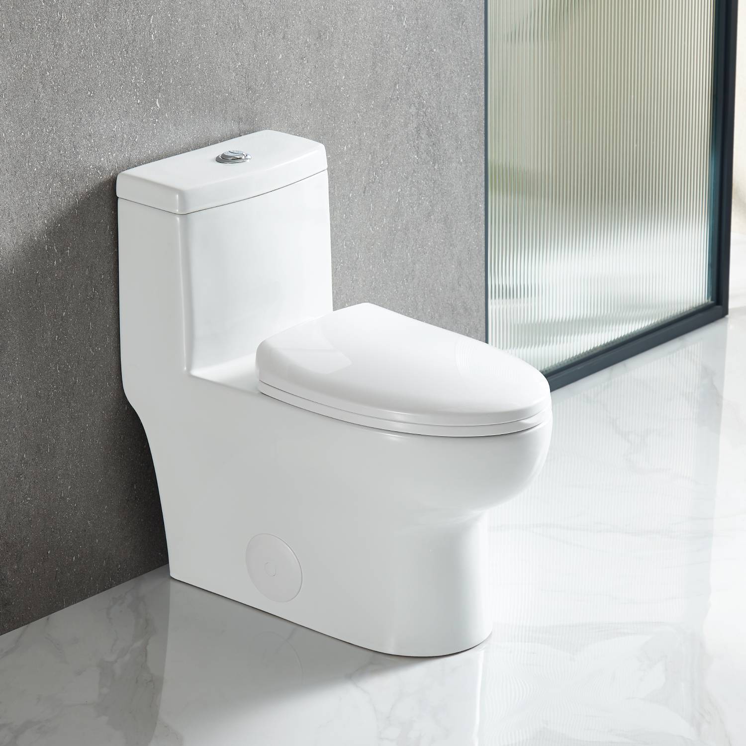 One Piece Toilet - Dual Flush Vanity Plus