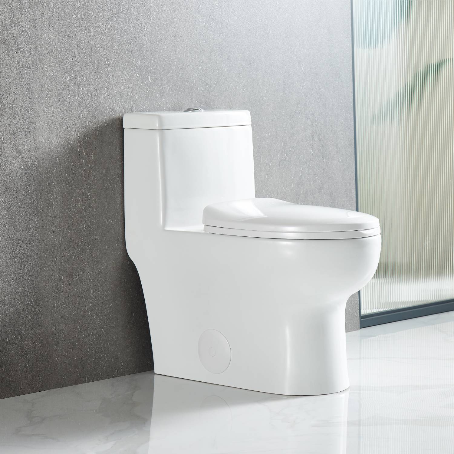 One Piece Toilet - Dual Flush Vanity Plus