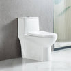 One Piece Toilet - V2 - Dual Vanity Plus
