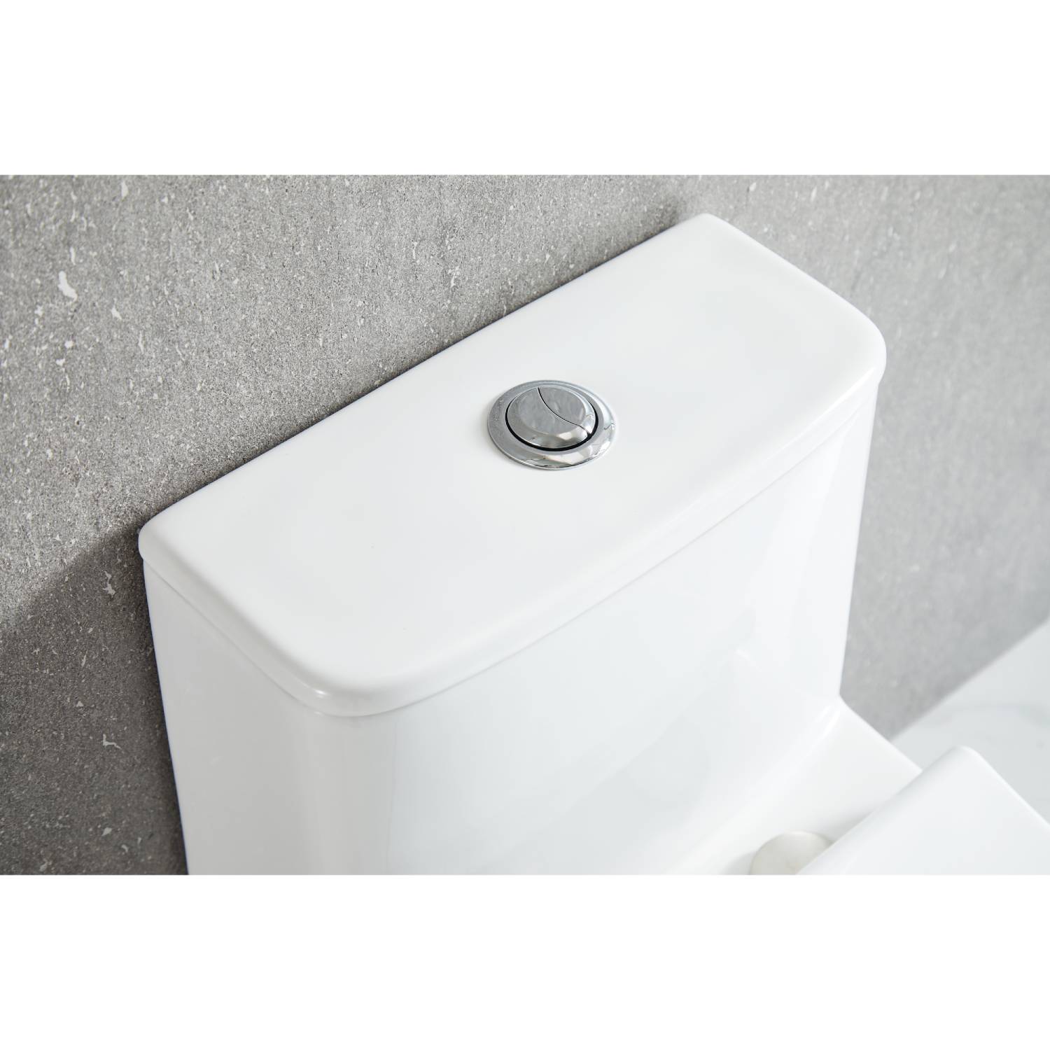 One Piece Toilet - V2 - Dual Vanity Plus