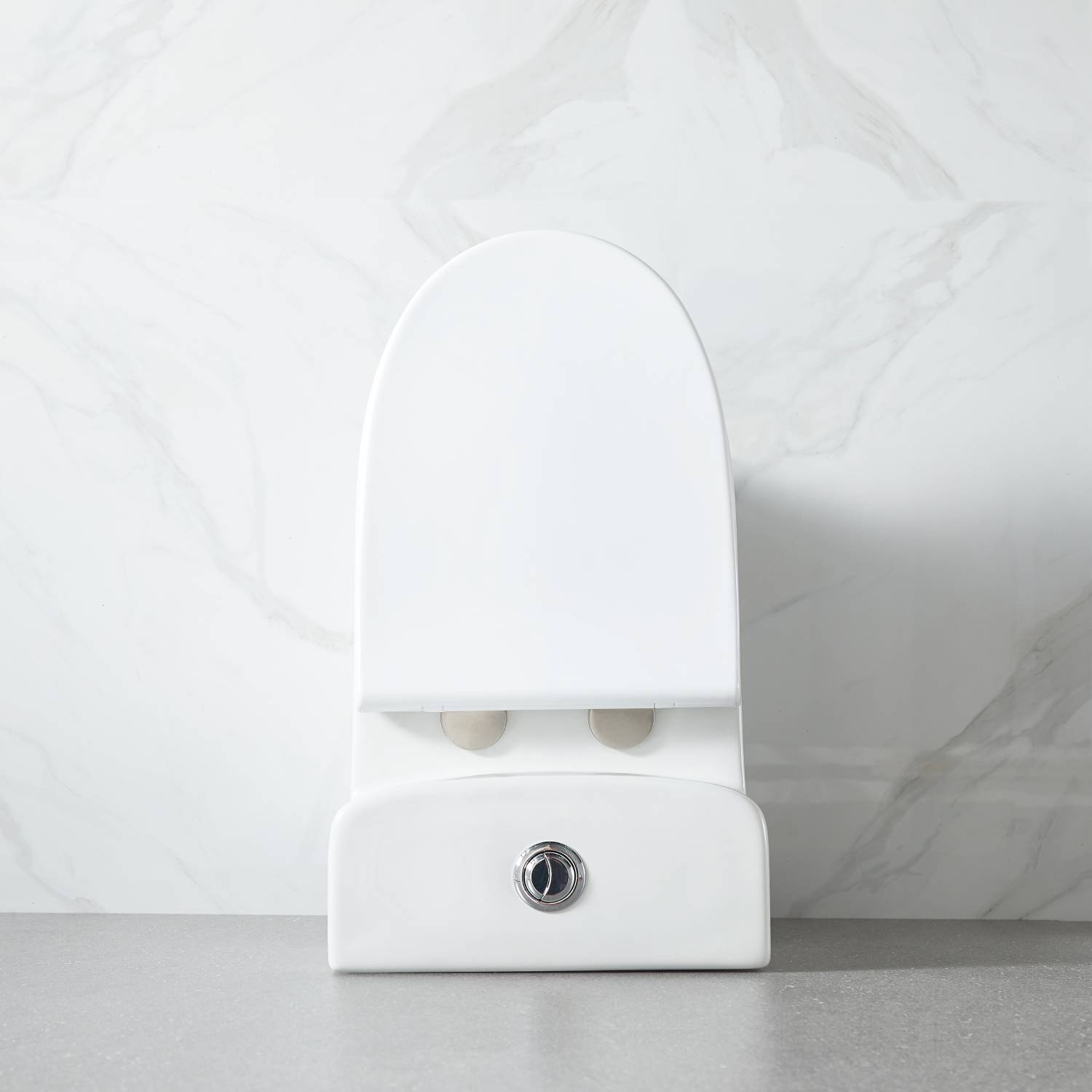 One Piece Toilet - V2 - Dual Vanity Plus