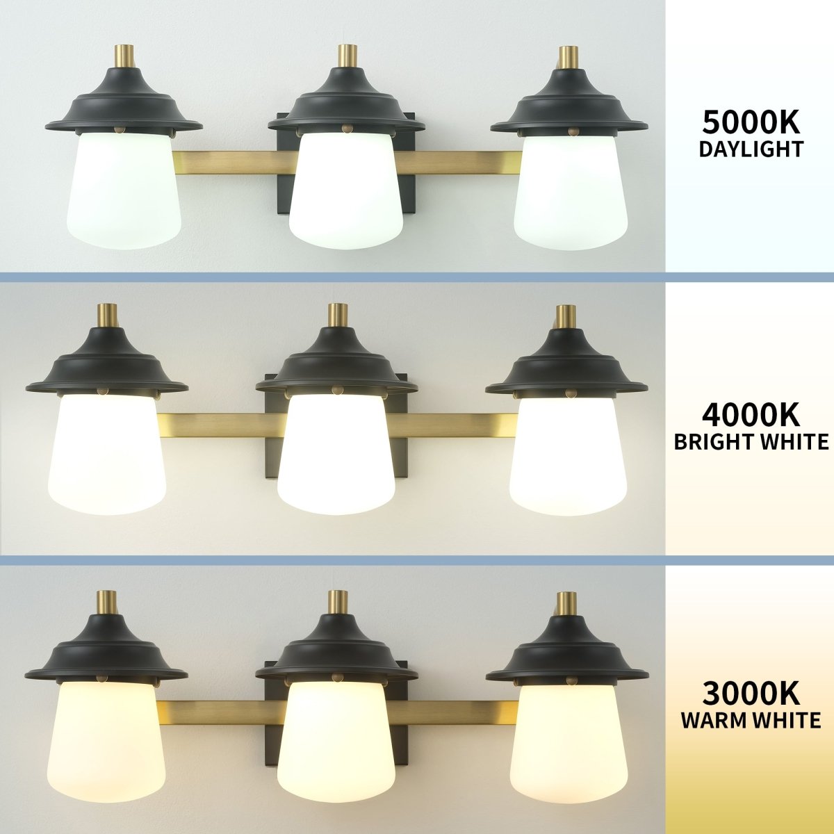 Farmhouse 24.5" LED Vanity Light Fixture with Dimmable Switch & Tri-Color Settings