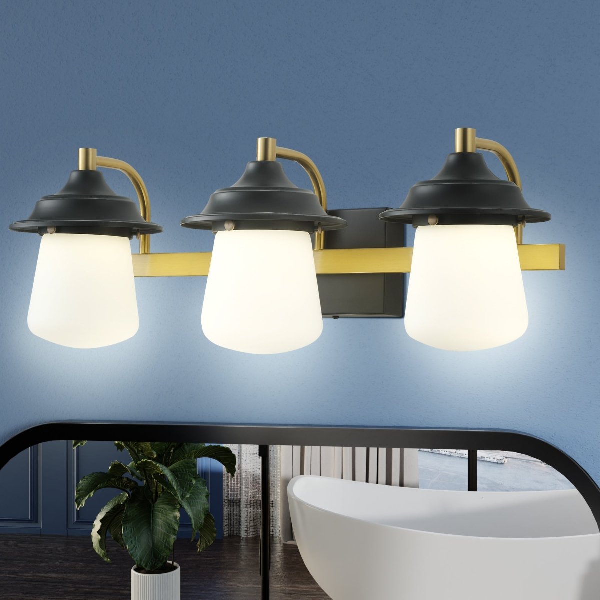 Farmhouse 24.5" LED Vanity Light Fixture with Dimmable Switch & Tri-Color Settings