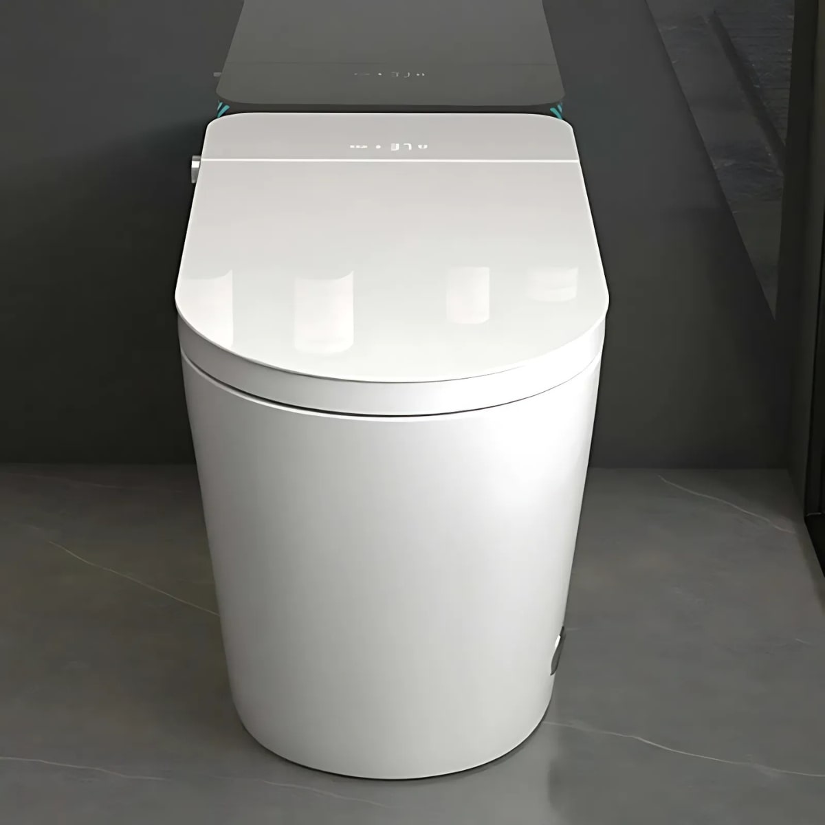 Infiniti Intelligent Toilet