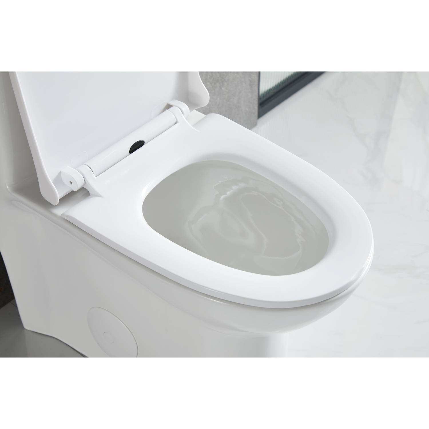 One Piece Toilet - V2 - Dual Vanity Plus